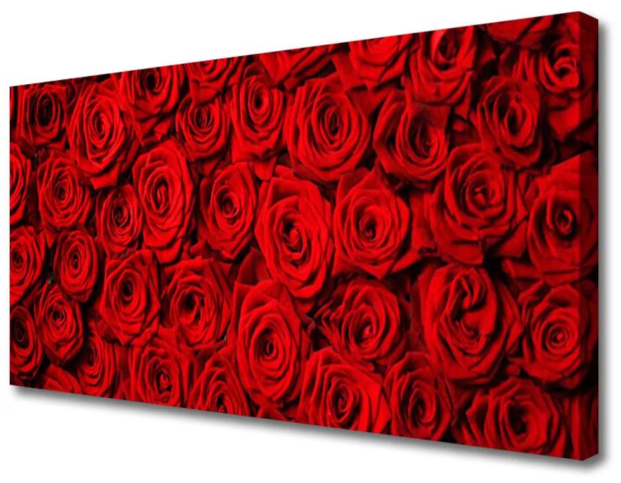 Obraz na plátne Ruže 125x50 cm