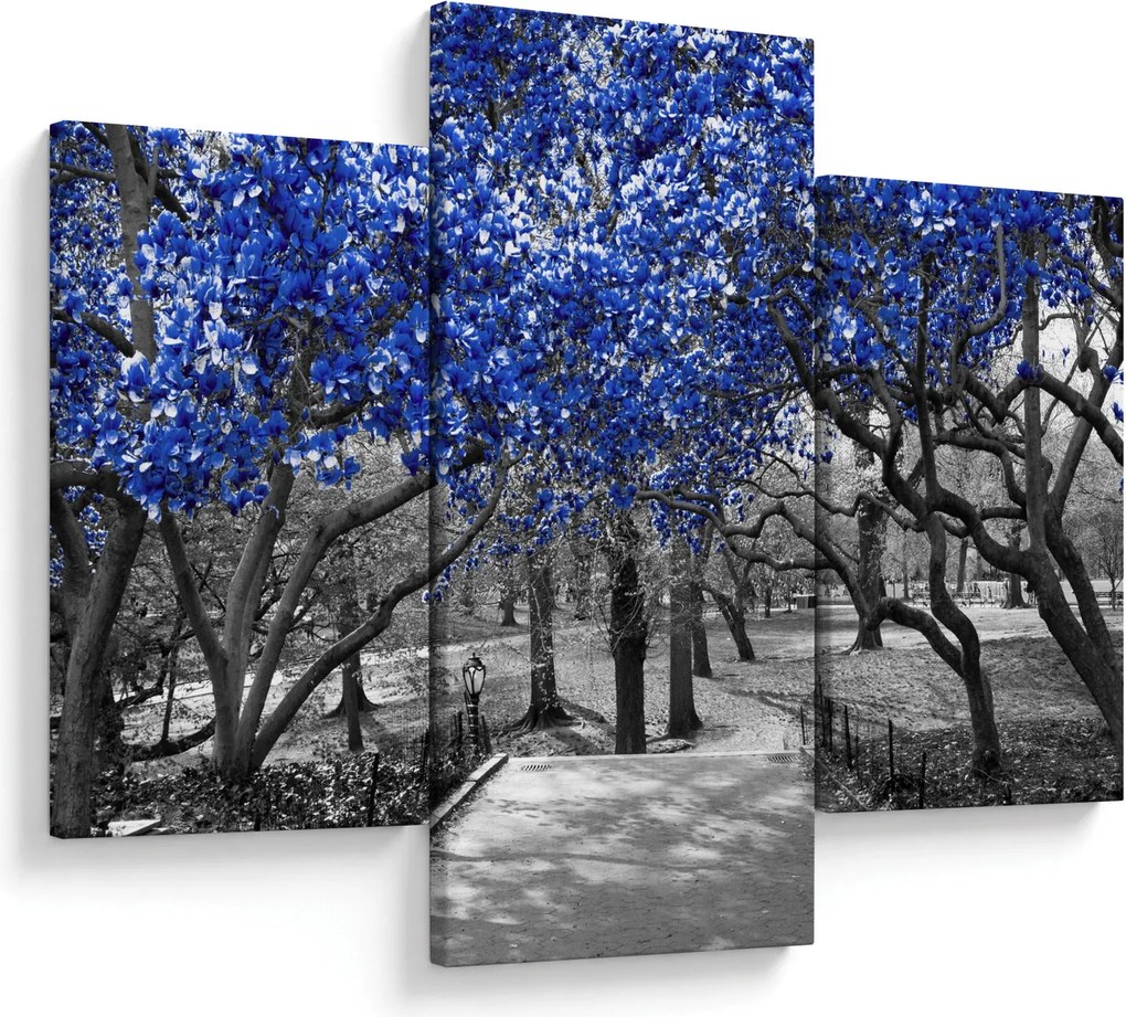 Obrázok - Modré stromy, Central Park, New York (90x60 cm)