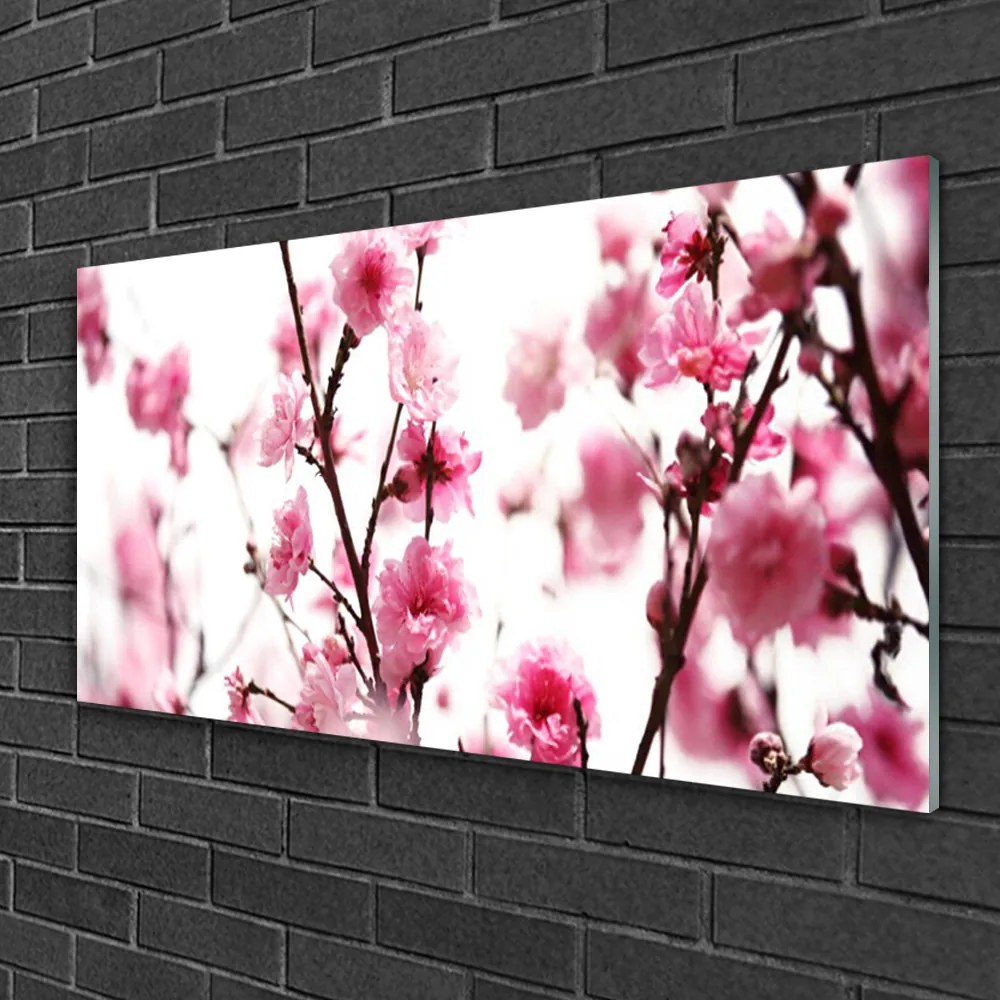 Obraz na skle Vetvy kvety rastlina 125x50 cm