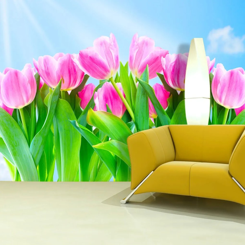 Sablio Tapeta Ružové tulipány - 125x75 cm
