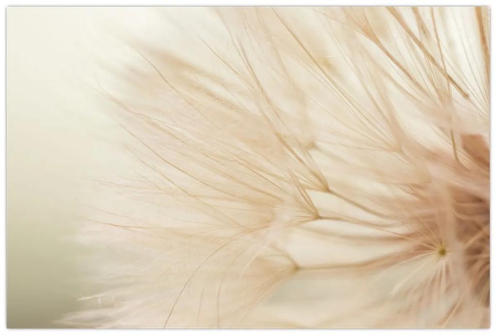 Obraz - Detaily kvetu (90x60 cm)