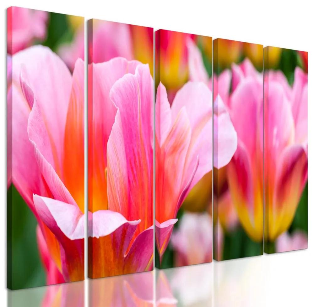 5-dielny obraz krása tulipánov