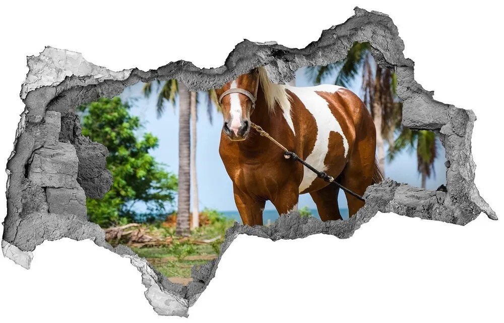 Diera 3D fototapeta nálepka Pinto kôň nd-b-100317732