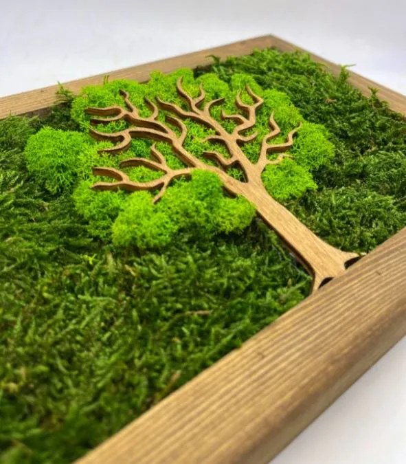 Obraz Strom z machu 20x30 cm