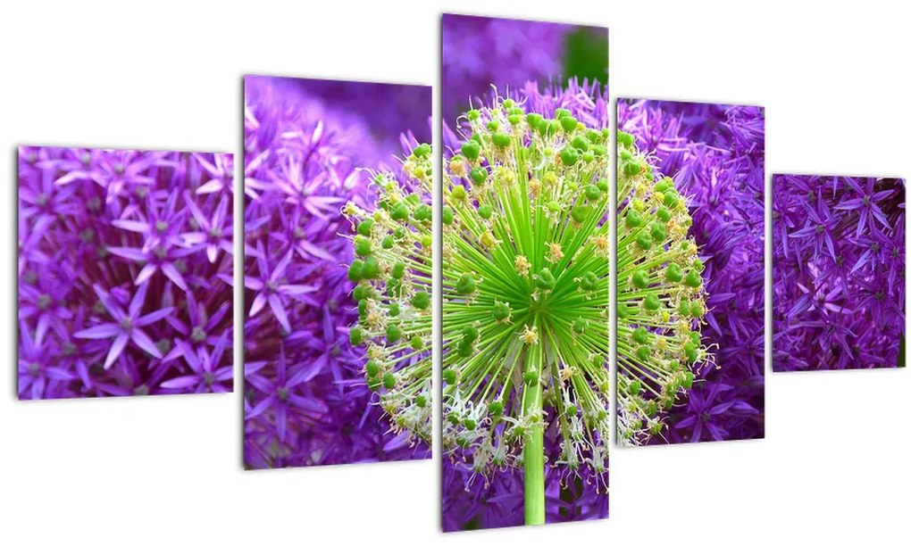 Obraz kvetu (125x70 cm), 40 ďalších rozmerov