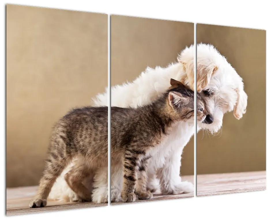 Mačiatko a šteňa - obraz
