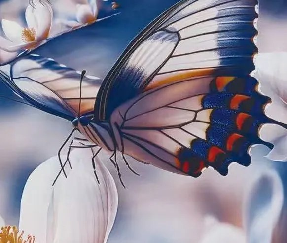 Obliečky BUTTY COLORFUL 3-dielna sada 140x200 cm