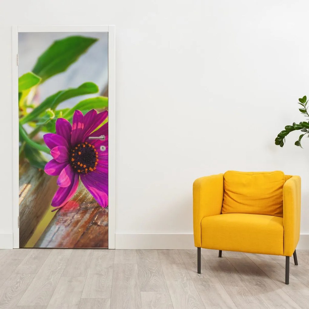 Fototapeta na dvere - Rezané kvety (95x205cm)