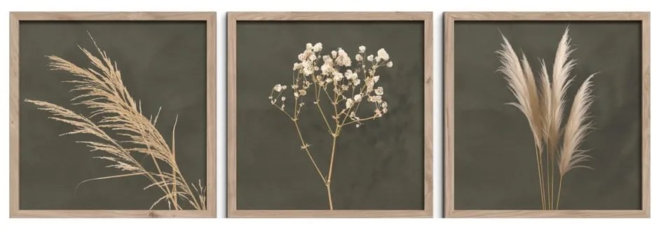 Obrazy v súprave 3 ks 30x30 cm Pampas – Styler