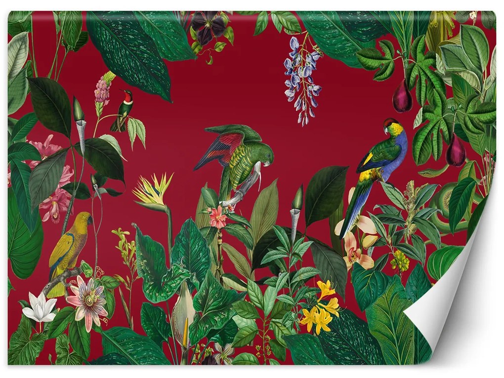 Gario Fototapeta Červené trópy - Andrea Haase Materiál: Vliesová, Rozmery: 400 x 280 cm