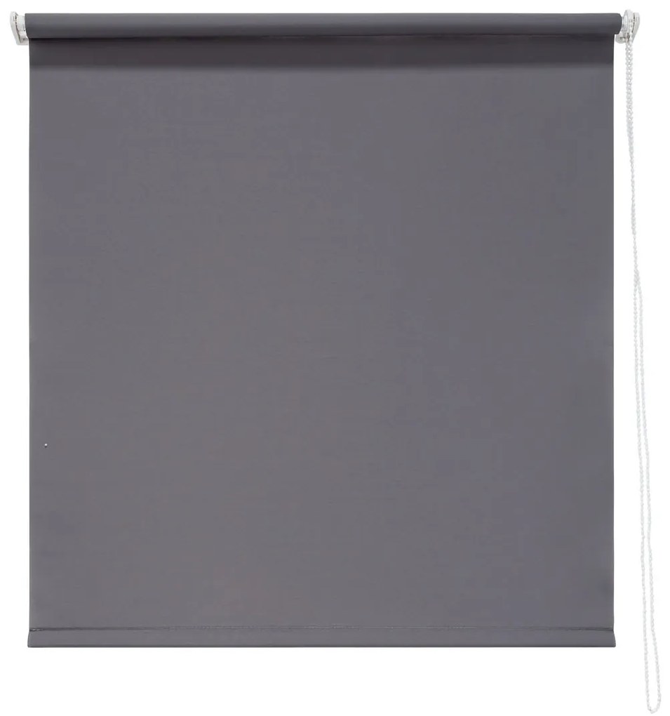 LIVARNO home Roleta na okno prepúšťajúca denné svetlo (100 x 150 cm, sivá) (100345925)