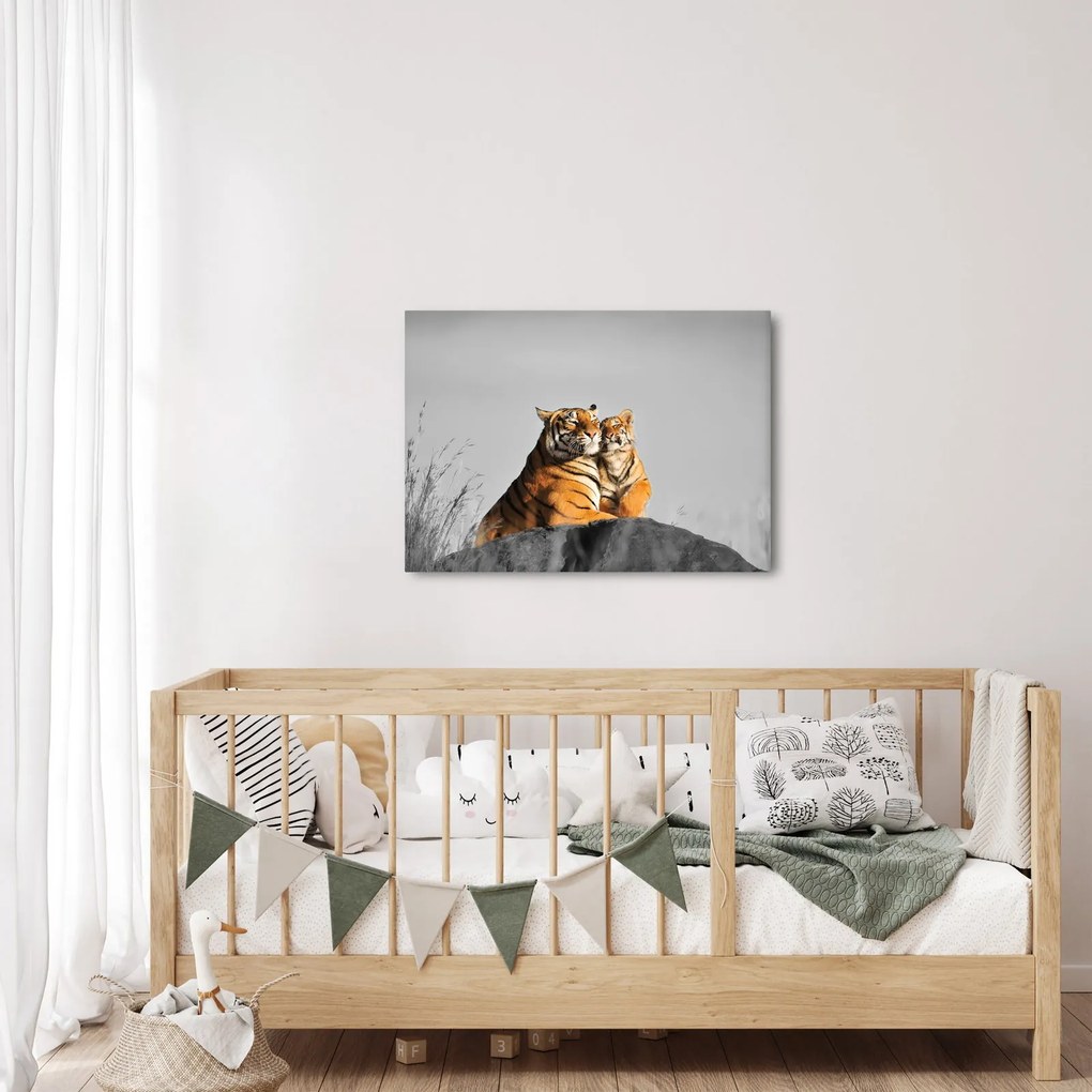 Obraz - Tigrice a jej mláďa, čiernobiely variant (70x50 cm)