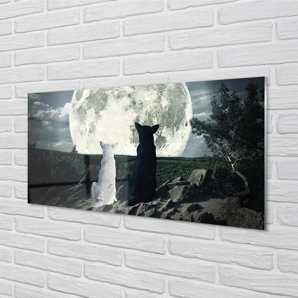 Obraz na akrylátovom skle Wolves mesiac lesné 140x70 cm