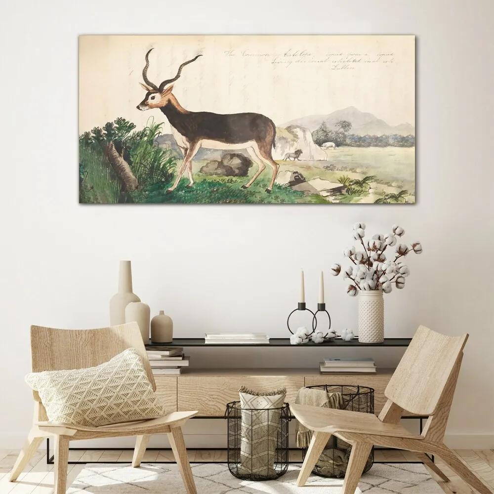 Skleneny obraz Gazelle zvieratá kreslenie