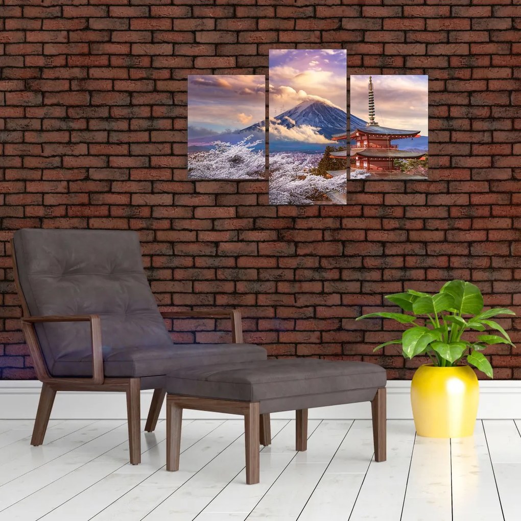 Obraz - Hora Fuji (90x60 cm)
