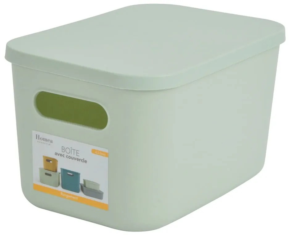 Svetlozelený plastový úložný box s vekom 24,5x18x15 cm – Homéa