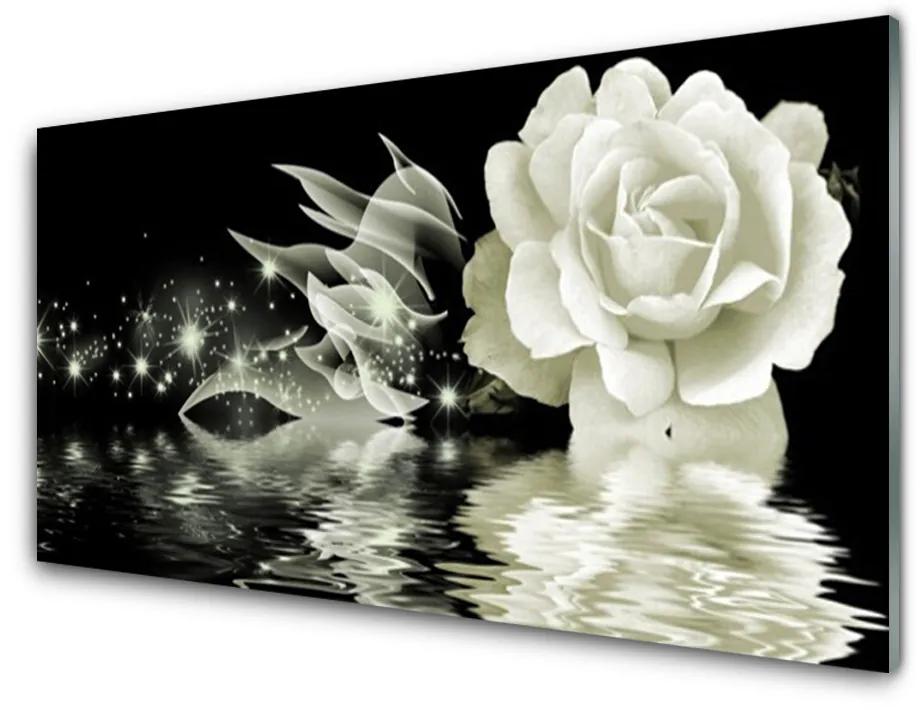 Obraz na akrylátovom skle Ruže kvet 140x70cm
