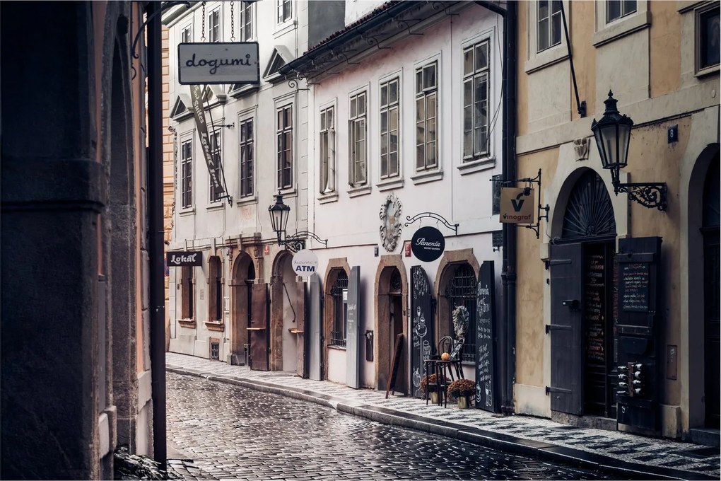 Obraz - Pražská ulička (90x60 cm)
