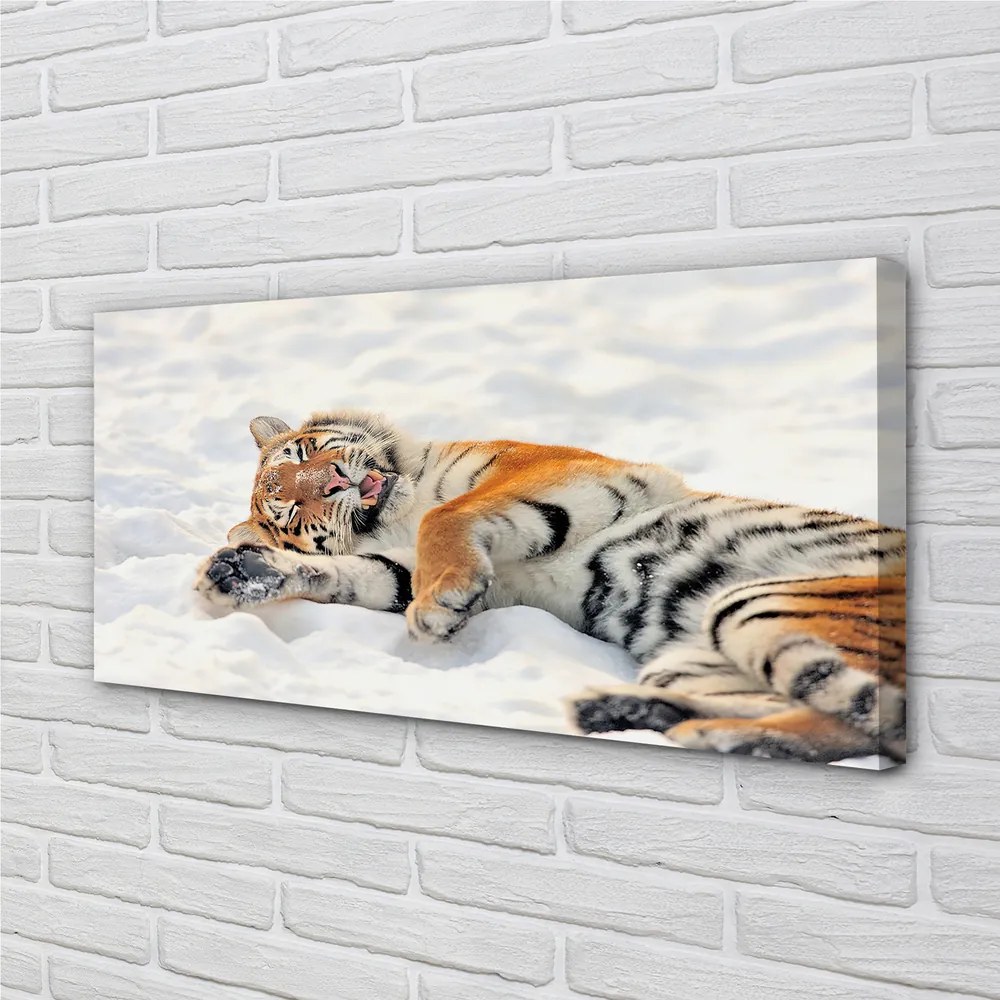 Obraz na plátne Tiger winter 140x70 cm