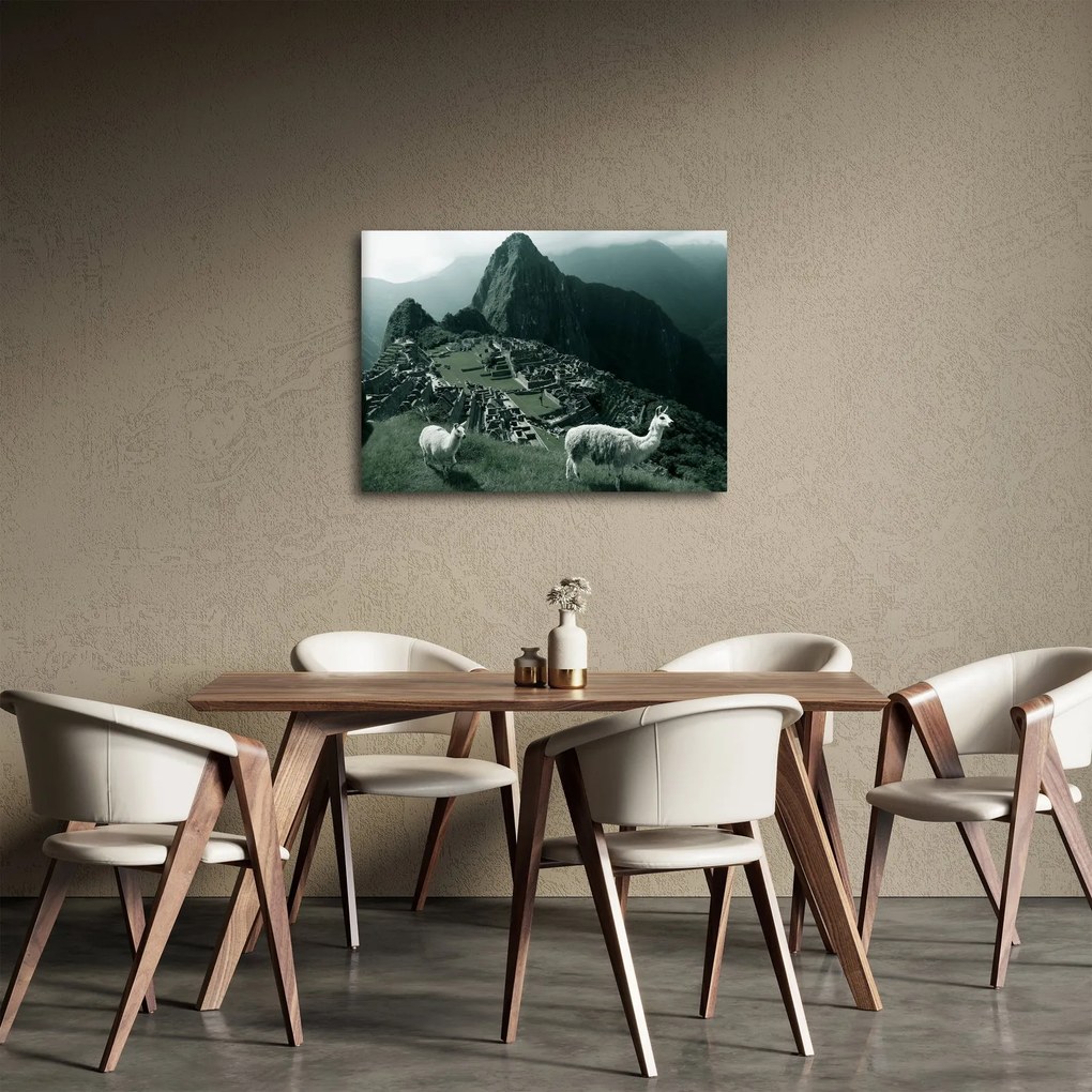 Obraz - Lamy na Machu Picchu v Peru (70x50 cm)
