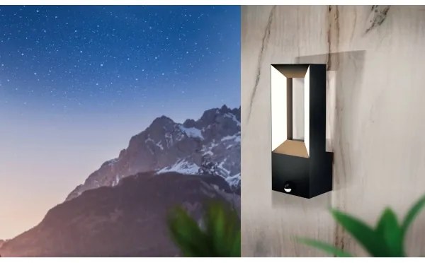 Eglo 98726 - LED Vonkajšie svietidlo so senzorom RIFORANO 2xLED/5W/230V IP44