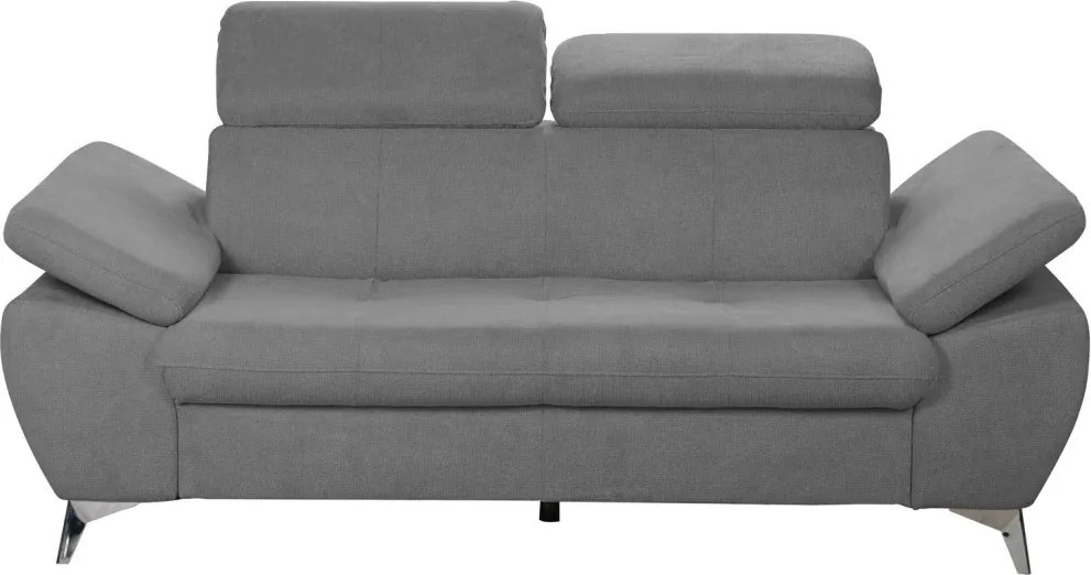 Dvojsedák Gisele, stredne šedá