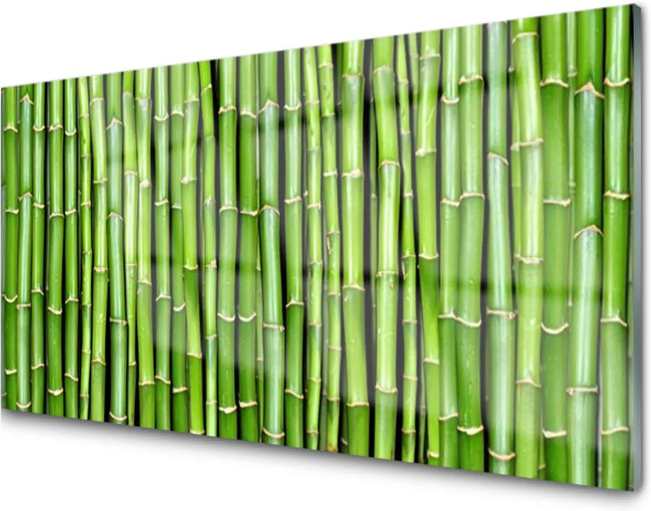 Obraz na akrylátovom skle Bambus Kvet Rastlina