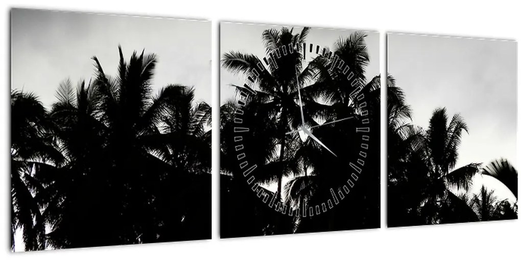 Obraz čiernobiely - palmy (s hodinami) (90x30 cm)