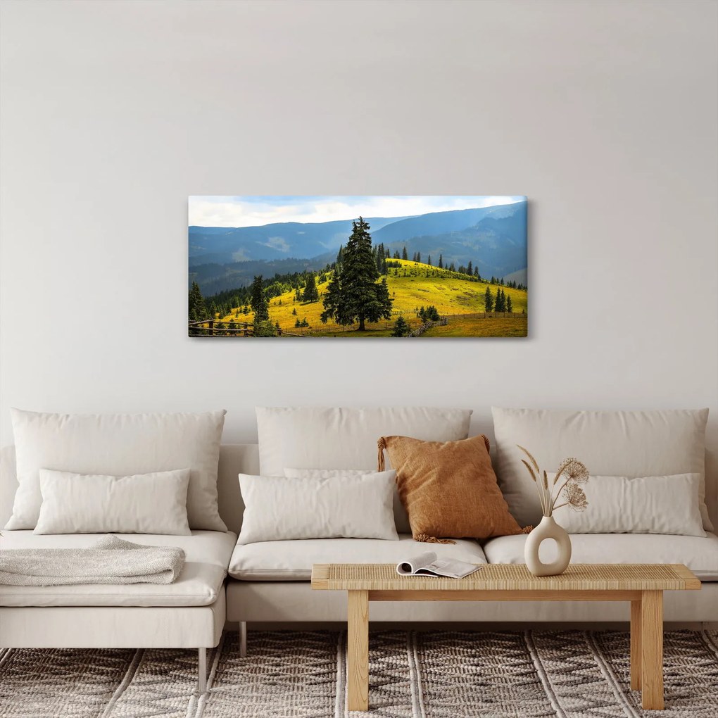 Obraz - Horská lúka (120x50 cm)