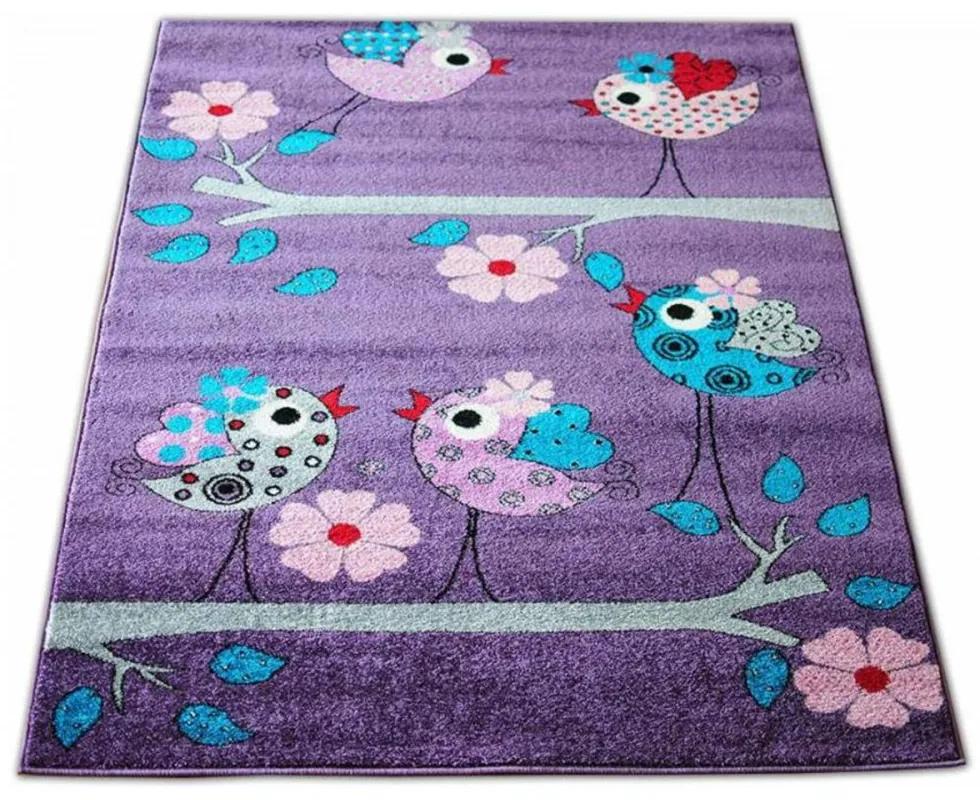 Detský koberec Vtáky fialový, Velikosti 240x330cm