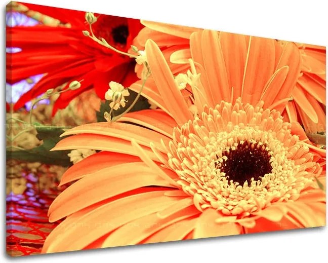 Obraz na stenu KVETY KV006E11 - 30x40 cm