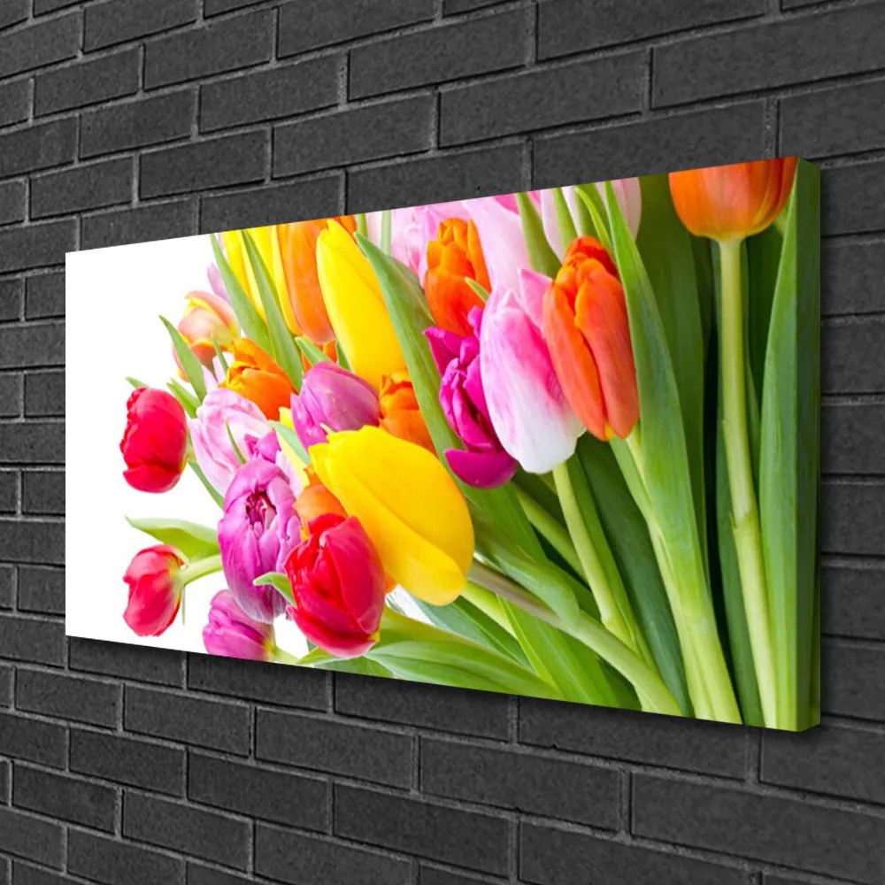 Obraz Canvas Tulipány kvety rastlina 100x50 cm