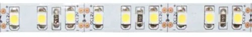 ECOLIGHT LED pásik - SMD 2835 - 5m - 120LED/m - 9,6W/m - IP65 - studená biela