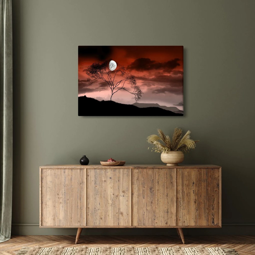 Obraz - Mesiac osvetľujúce noc (90x60 cm)