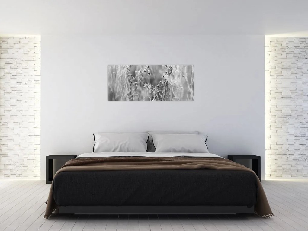 Obraz - Divoká lúka (120x50 cm)