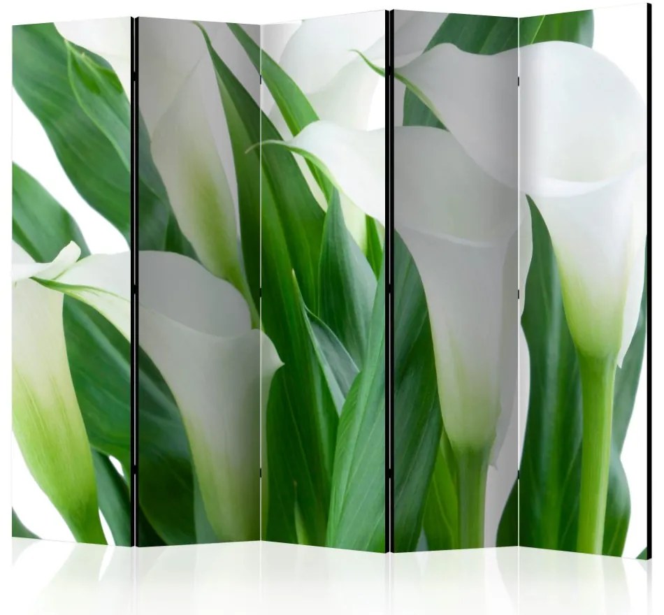 Artgeist Paraván - bunch of flowers - callas [Room Dividers]