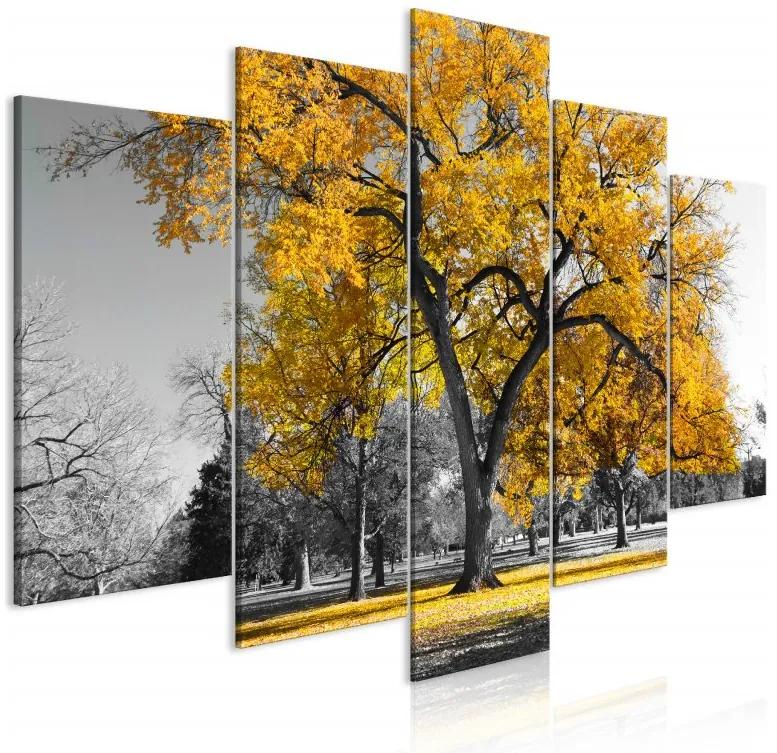 Artgeist Obraz - Autumn in the Park (5 Parts) Wide Gold Veľkosť: 225x112.5, Verzia: Premium Print