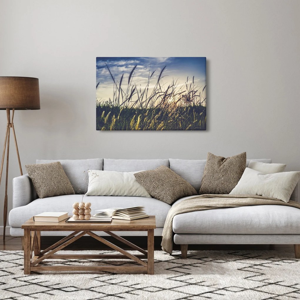 Obraz lúčnych kvetov (90x60 cm)