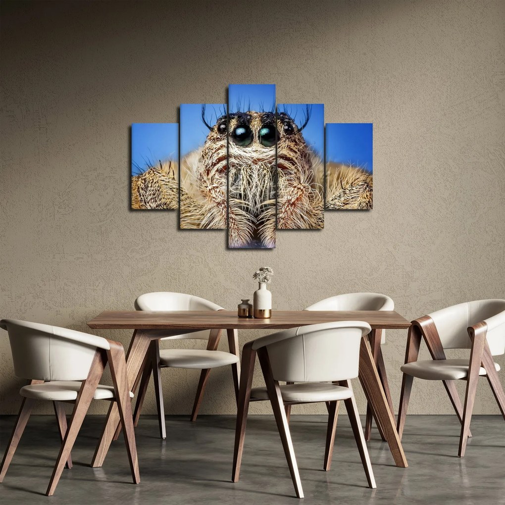 Obraz detailu pavúka (150x105 cm)