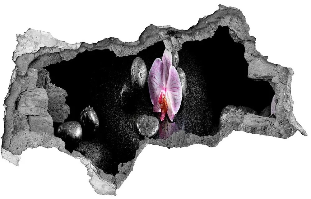 Samolepiaca diera na stenu nálepka Orchidea nd-b-60629892