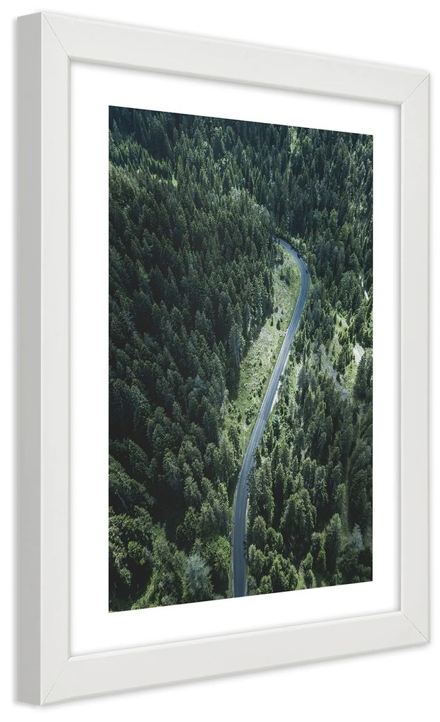 Gario Plagát Cesta v lese Farba rámu: Bez rámu, Rozmery: 70 x 100 cm