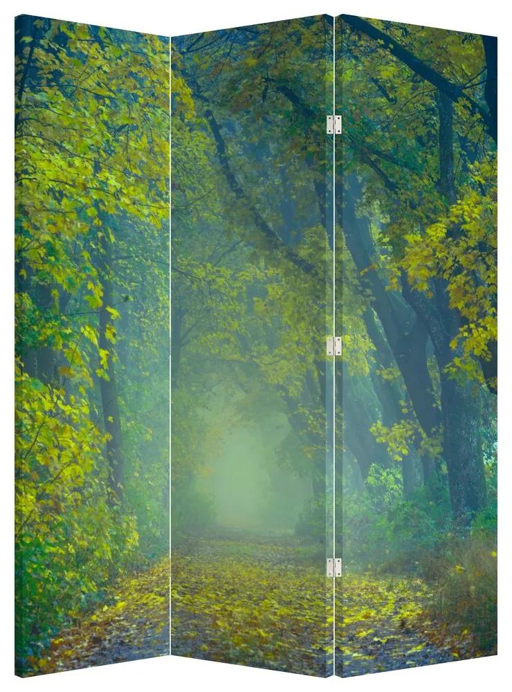 Paraván - Cesta lemovaná stromami (126x170 cm)