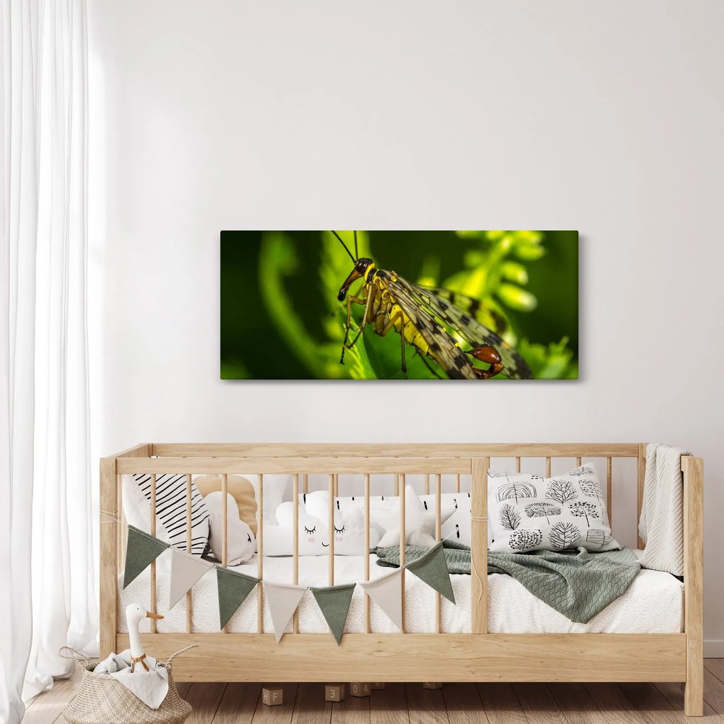 Obraz hmyzu (120x50 cm)