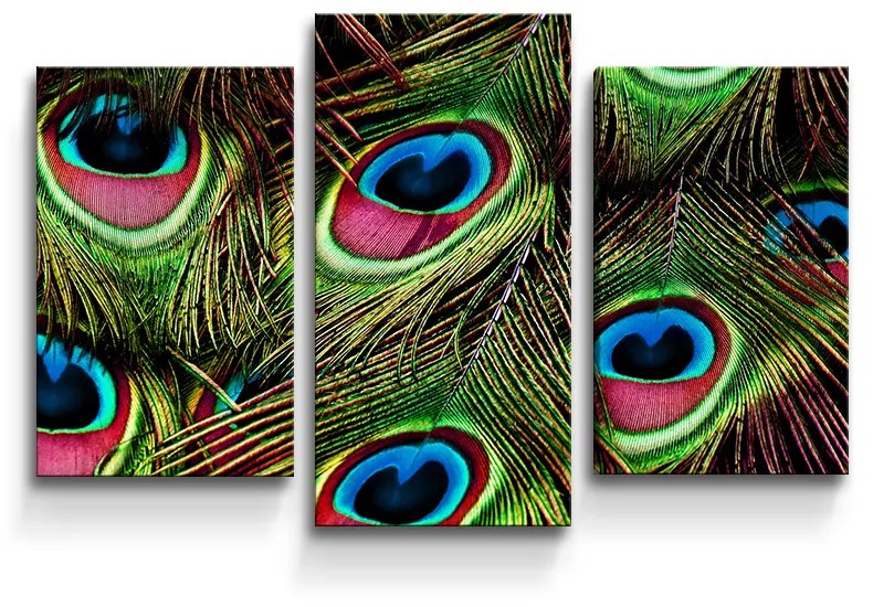 Sablio Obraz - 3-dílný Pávie perie - 75x50 cm