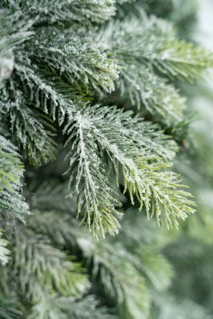 Limpol Kanadská zasnežená borovica 1,50 m