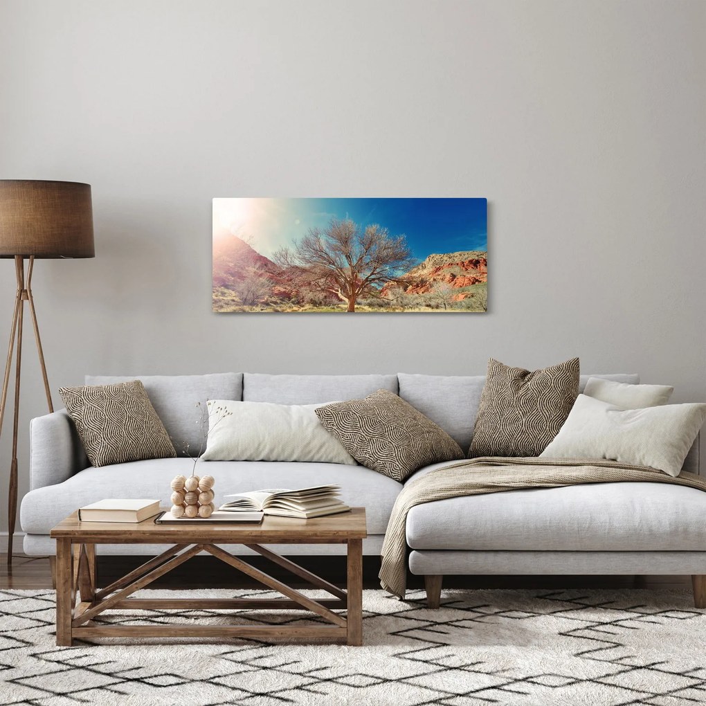 Obraz stromu v púšti (120x50 cm)