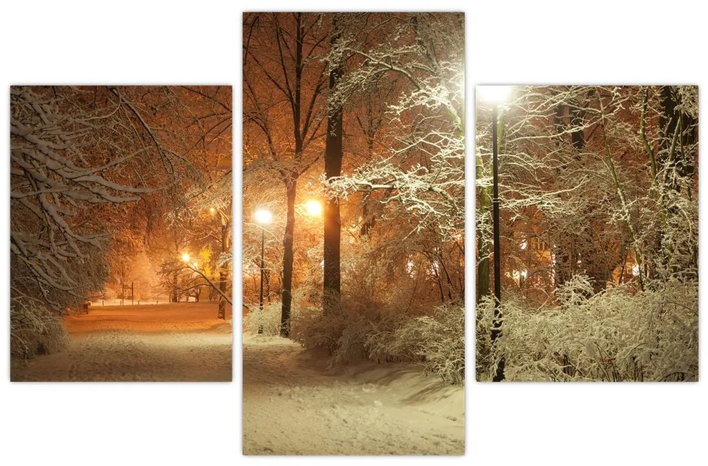 Obraz - Zasnežený park (90x60 cm)