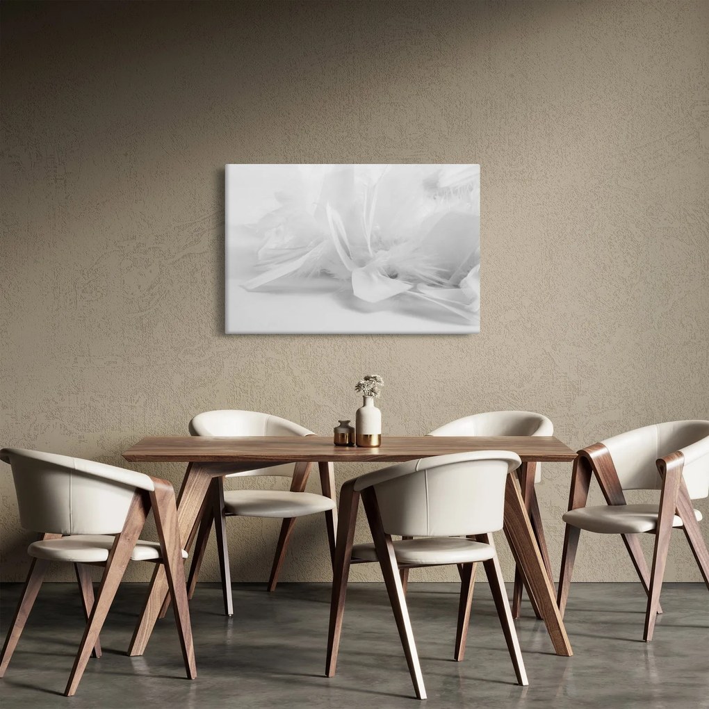 Obraz - Perie (90x60 cm)