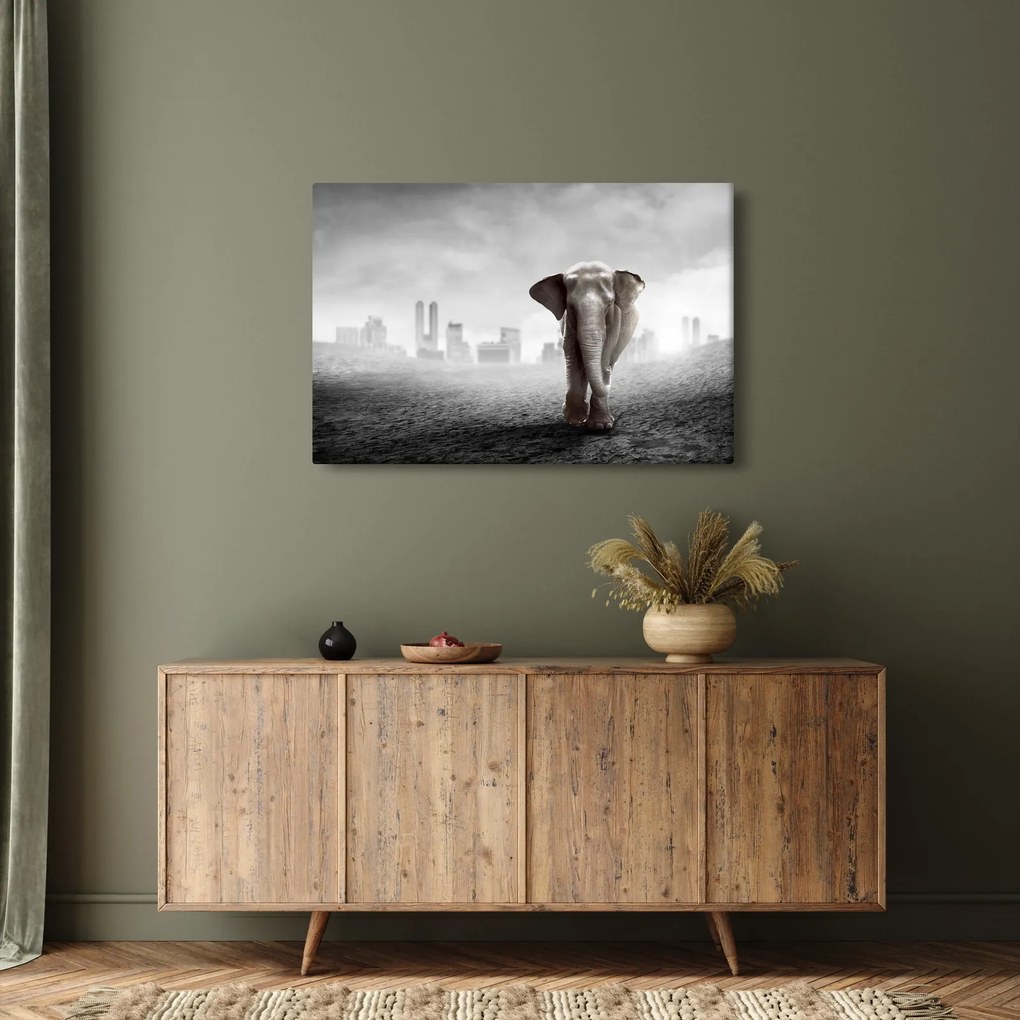 Obraz - Sloník vo veľkomeste, čiernobiely variant (90x60 cm)