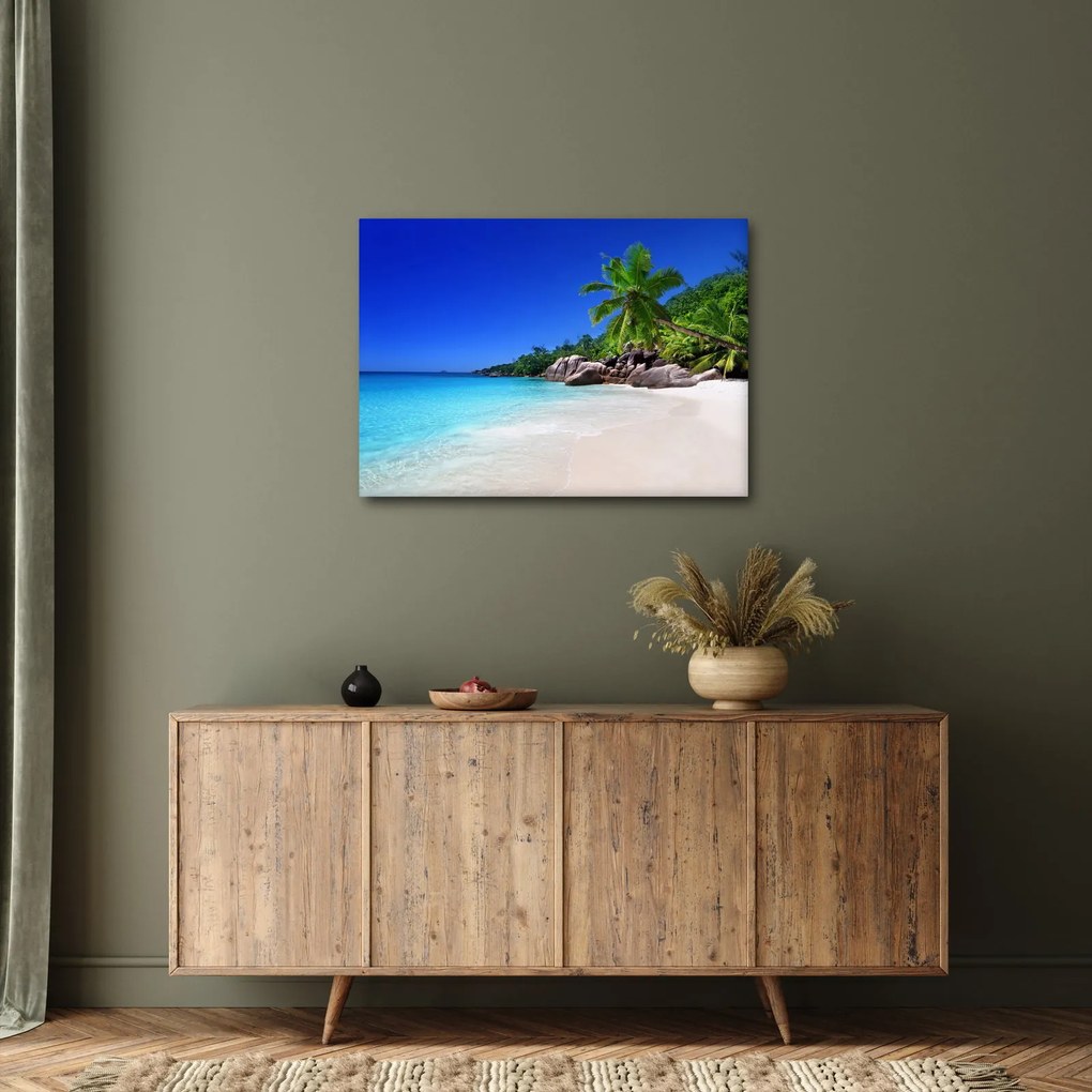 Obraz pláže na Praslin ostrove (70x50 cm)